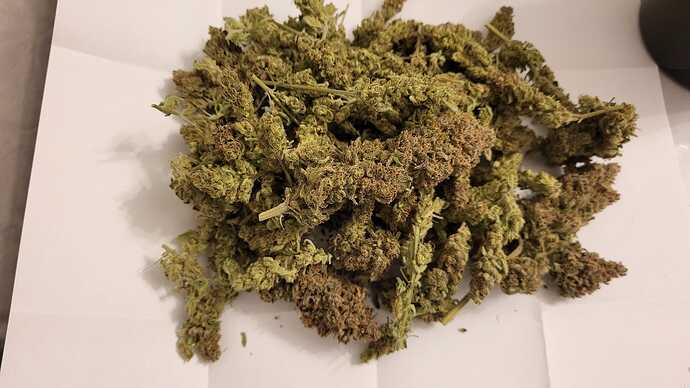 Growreport Bild 27