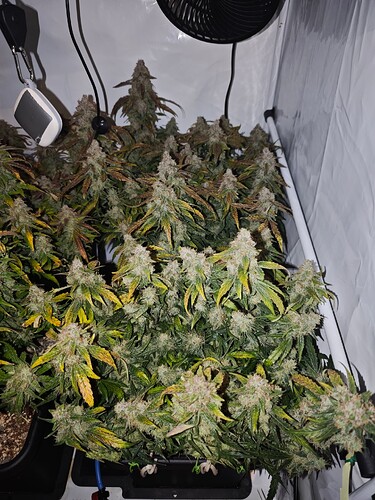 MVIMG_20251128_150023