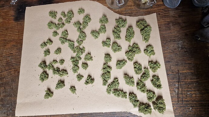 Growreport Bild 3