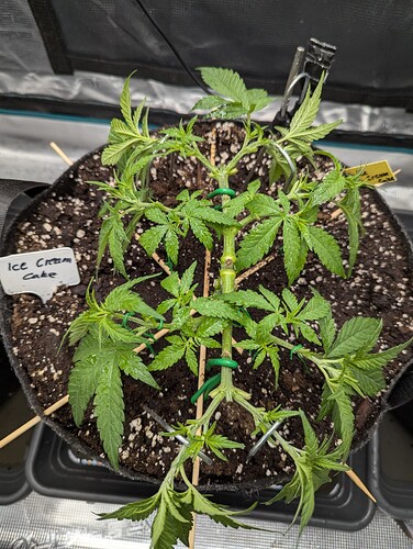 PXL_20250619_103609957.MP