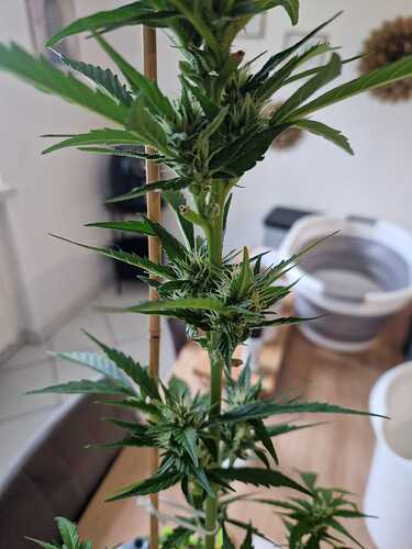 WhatsApp Image 2024-06-27 at 18.04.13