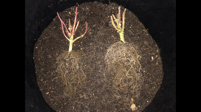 Growreport Bild 14