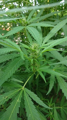 Growreport Bild 14