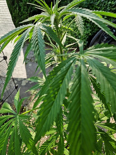 Growreport Bild 22