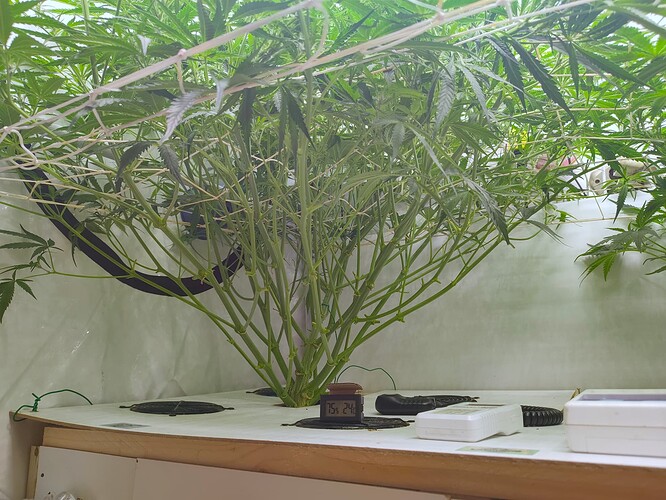 Growreport Bild 5