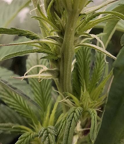 Growreport Bild 29