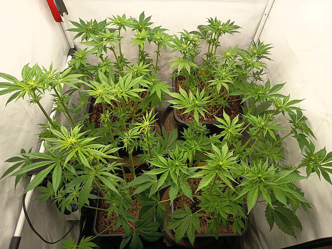 Growreport Bild 11