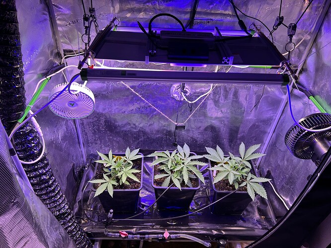 Growreport Bild 16