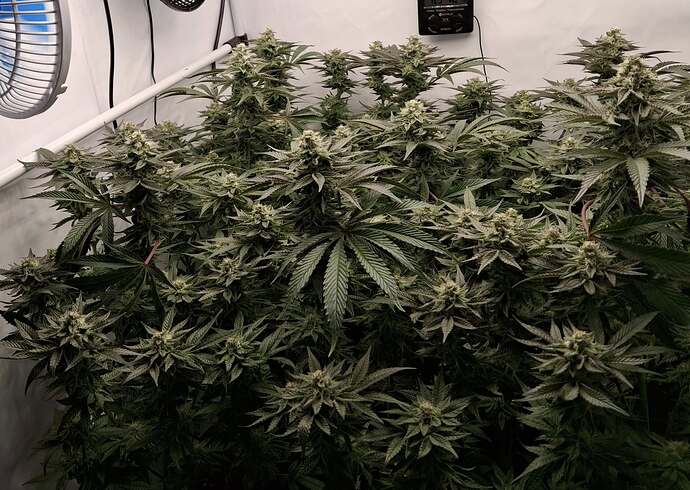 476433990_122167310228293599_5590112717874178932_n