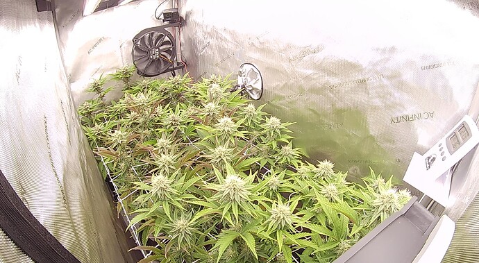 Growreport Bild 1