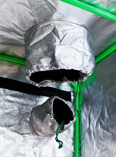 Screenshot_2024-05-03-13-48-12-701-edit_com.android.chrome