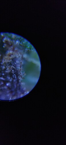 Growreport Bild 13