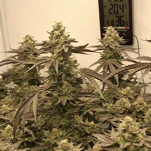 480454021_122169161630293599_4219976123689337728_n