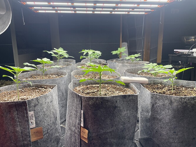 Growreport Bild 12