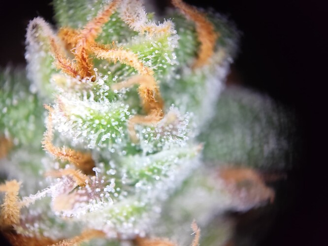 Growreport Bild 14