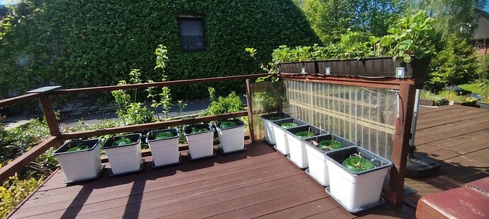 Growreport Bild 6