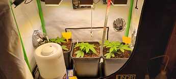 WhatsApp Image 2024-05-11 at 21.17.12 (5)