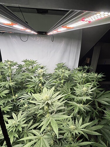Growreport Bild 22