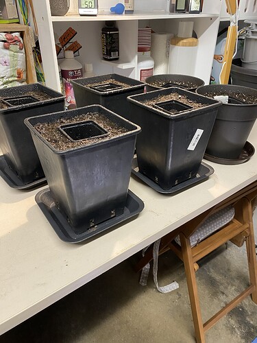 IMG_6367