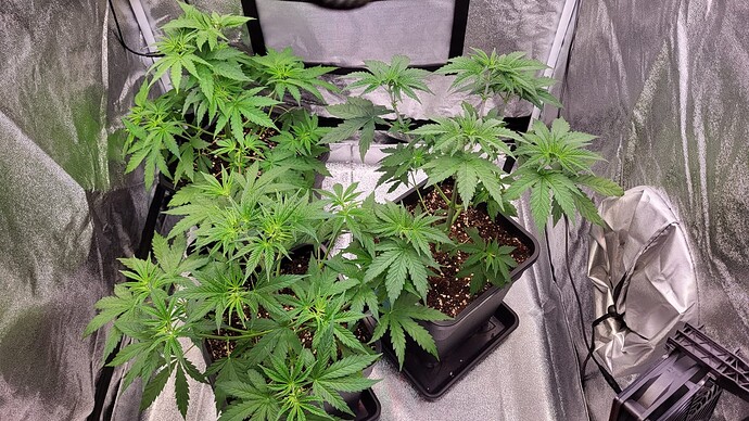 Growreport Bild 17