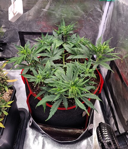 Growreport Bild 12