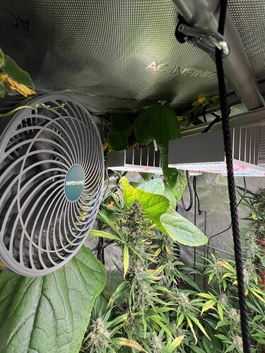 Growreport Bild 9