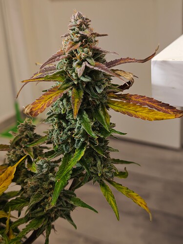 MVIMG_20251130_223003