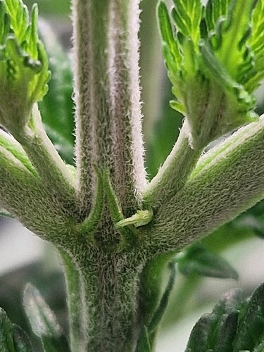 Growreport Bild 3