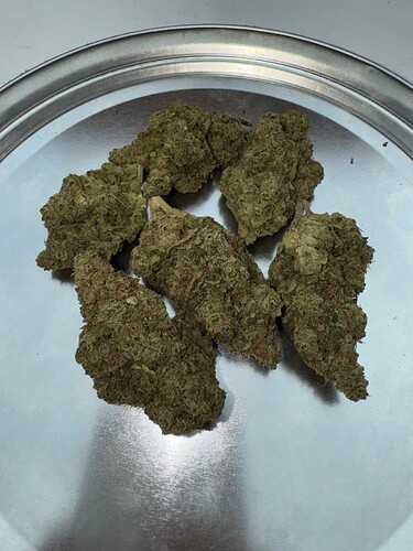 Growreport Bild 72