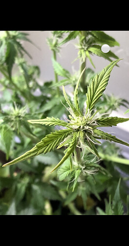 Growreport Bild 48