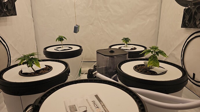 Growreport Bild 3
