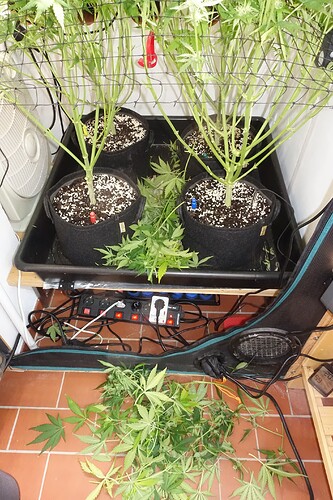 Growreport Bild 8