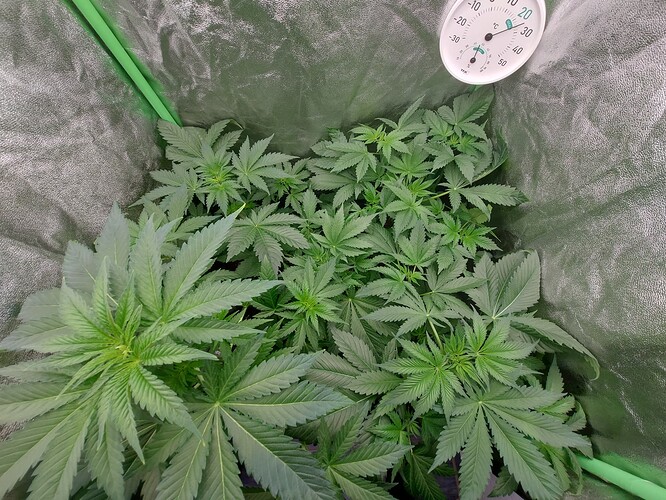 Growreport Bild 7