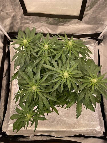 Growreport Bild 11