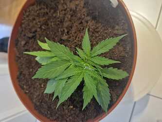 WhatsApp Image 2024-05-18 at 09.21.20 (1)