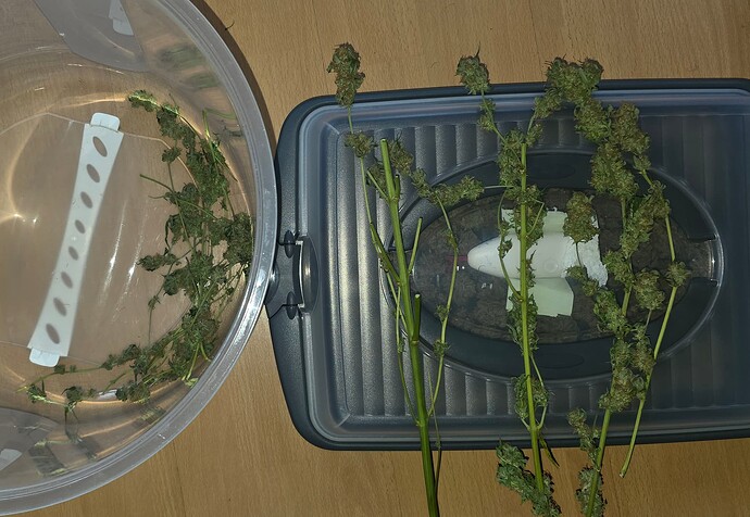 Growreport Bild 83