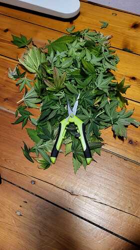 Growreport Bild 2
