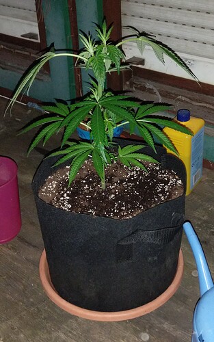 Growreport Bild 10