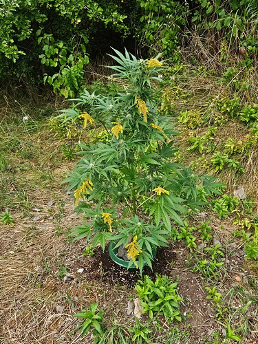 Growreport Bild 9