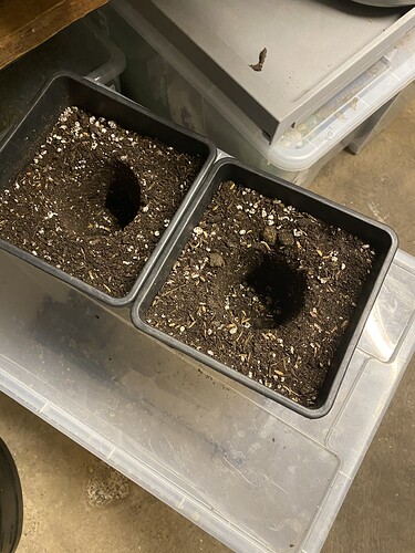 Growreport Bild 51