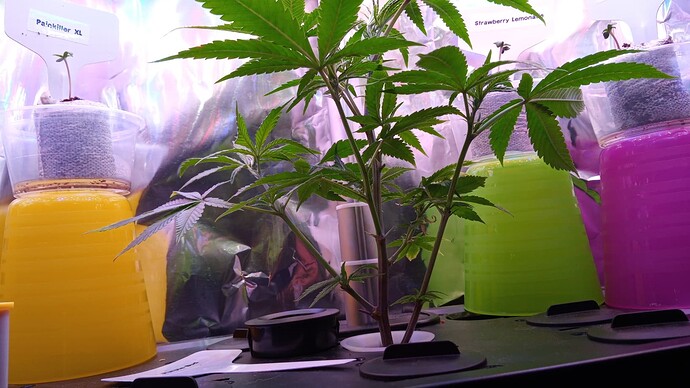 Growreport Bild 20