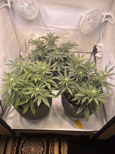 Growreport Bild 11