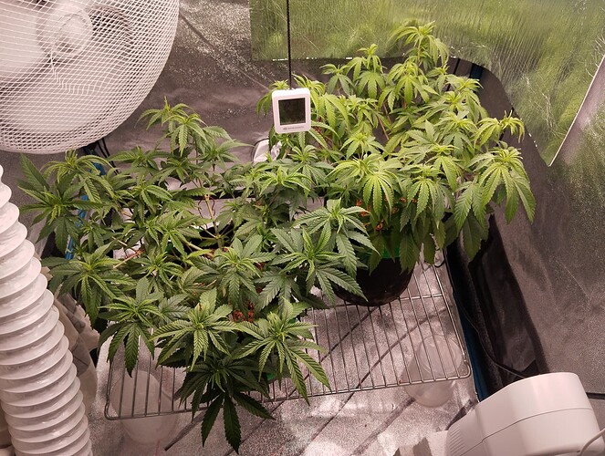 IMG_20241030_195651 - Kopie