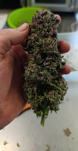 Growreport Bild 5