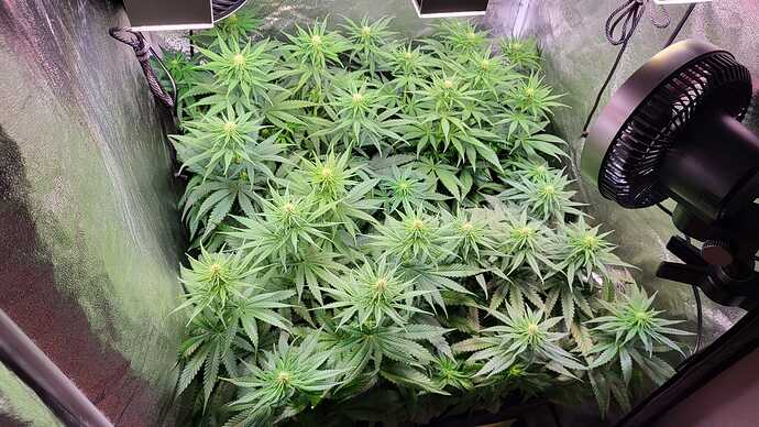 Growreport Bild 14