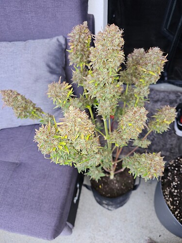 Growreport Bild 4