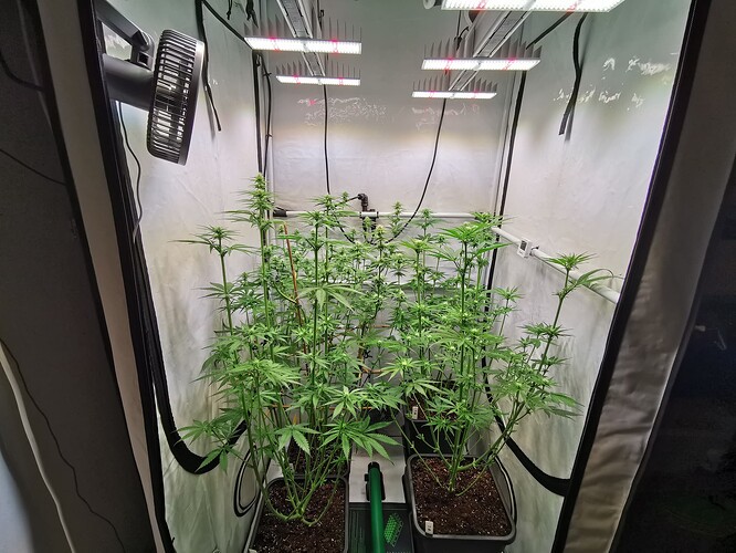 Growreport Bild 2