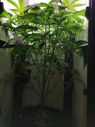 Growreport Bild 13