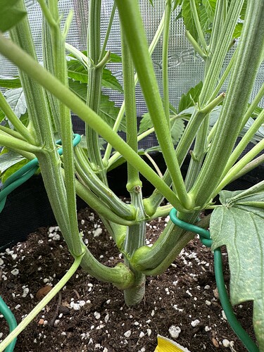 Growreport Bild 9