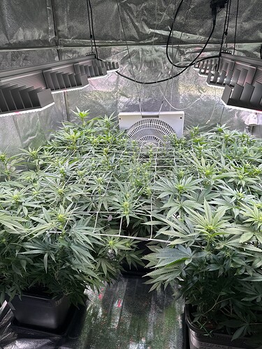 Growreport Bild 4